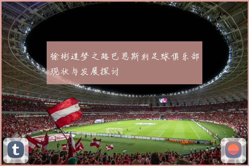 徐彬追梦之路巴恩斯利足球俱乐部现状与发展探讨